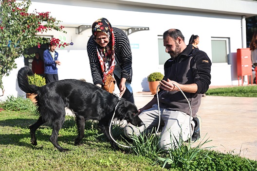 “Satın alma sahiplen” çağrısı