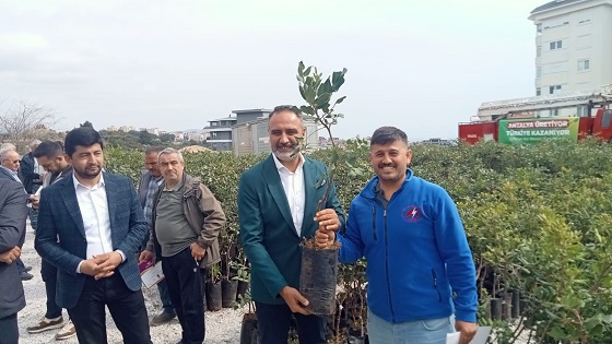 Antalya Büyükşehir’den Alanya’nın coğrafi işaretli keçiboynuzuna destek