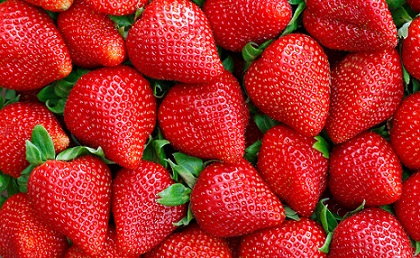 Çilek ihracatında katma değerli büyüme sürüyor