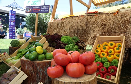 5. Uluslararası Foodfest Antalya Gastronomi Festivali başlıyor