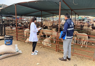 Kepez’de kurban satış ve kesim yerleri denetim altında