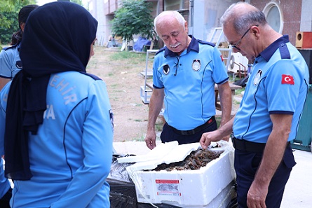 Antalya Otobüs Terminali’nde 90 kilogram kerevit yakalandı