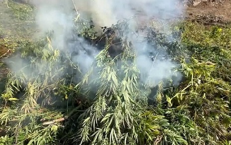 18 ilde zehir tacirlerine darbe: 80 gözaltı