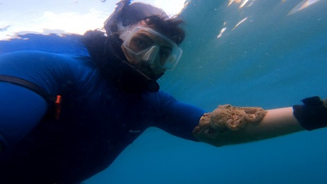 Antalya’da Ahtapotların Sualtı Oyunu